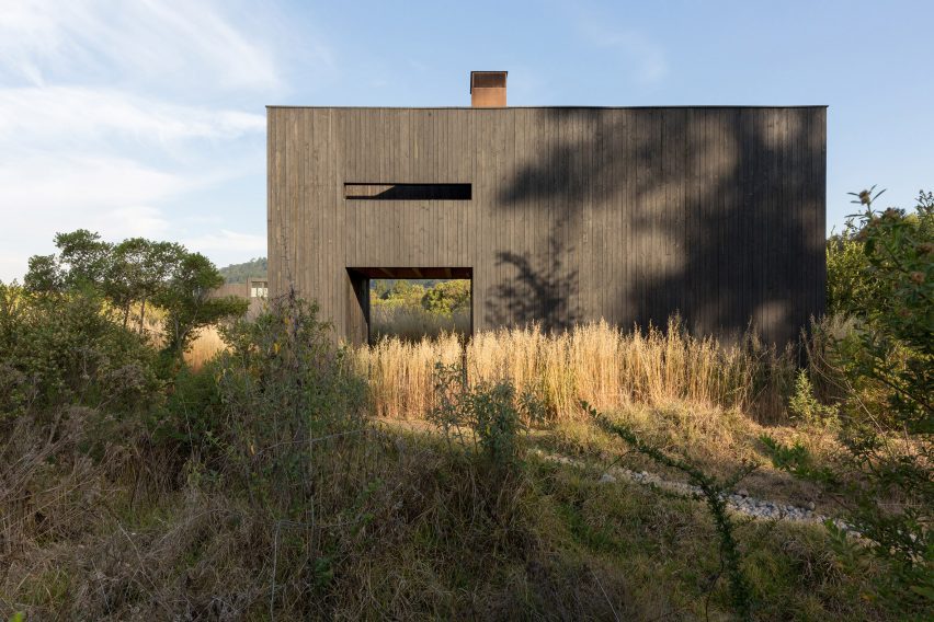 Rain Harvest Home Robert Hutchison Architecture and Javier Sanchez Arquitectos