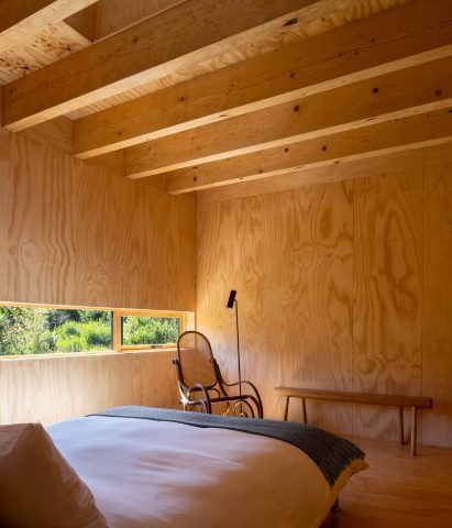 Plywood finishes within main home