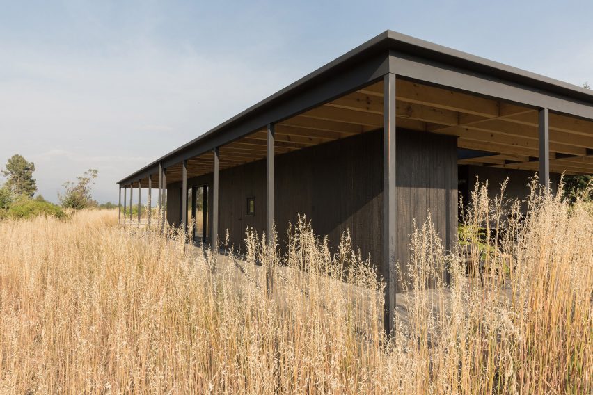 Rain Harvest Home Robert Hutchison Architecture and Javier Sanchez Arquitectos