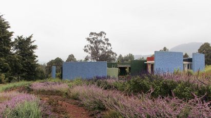 Single-storey guest house with blue exterior walls on a planted landscape at the Meles Zenawi Memorial Park by Studio Other Spaces