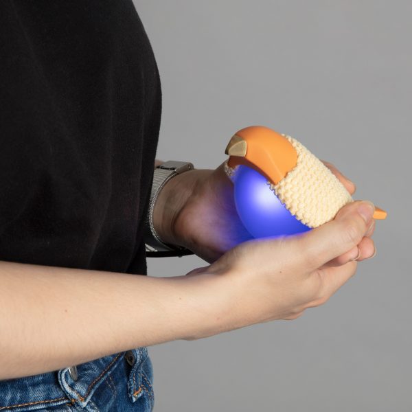 Photo of someone holding a mechanical bird