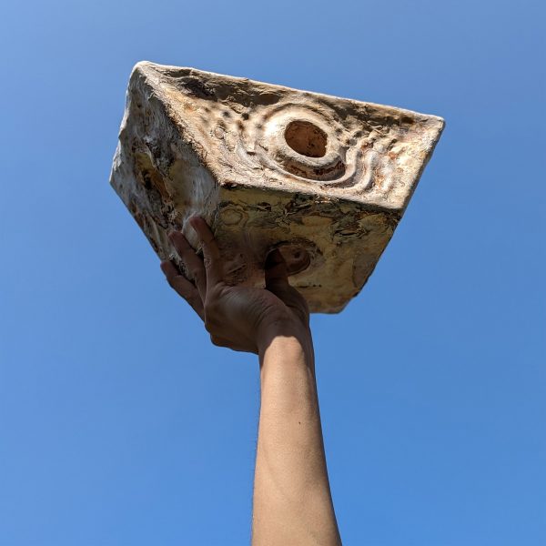 Photo of a PLP mycelium block