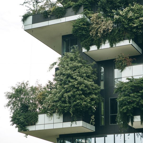 Photo of Bosco Verticale in Milan