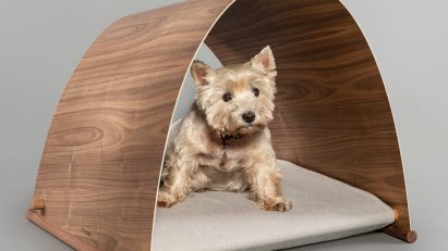 White dog in curved kennel