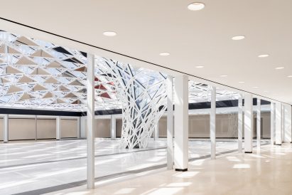 View of the canopy from under the canopy