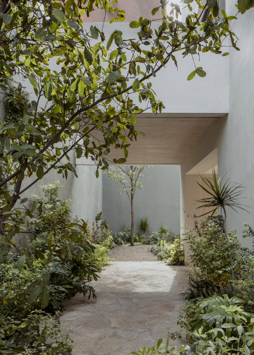 Stone and concrete outdoor space with planting
