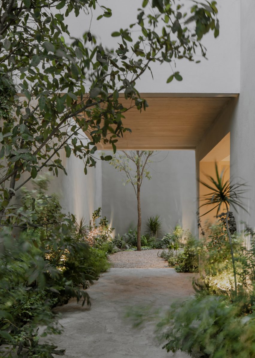 Stone and concrete outdoor space with planting