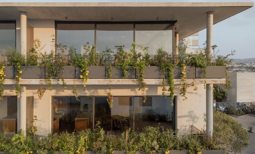 Plant-filled balconies at an apartment building in Mexico