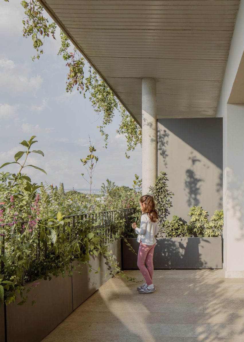 Residential balcony with planting growing over the railing