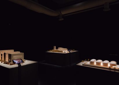 Adjaye Associates in Force Majeure