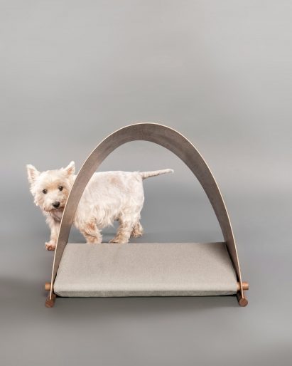 White dog beside plywood kennel on grey backdrop