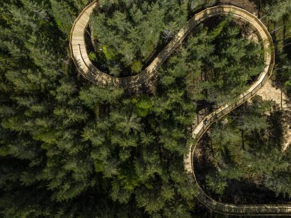 Aerial view of Hamaren Activity Park treetop walkway by EFFEKT