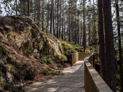 Treetop walkway by EFFEKT