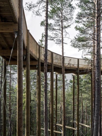 Hamaren Activity Park treetop walkway