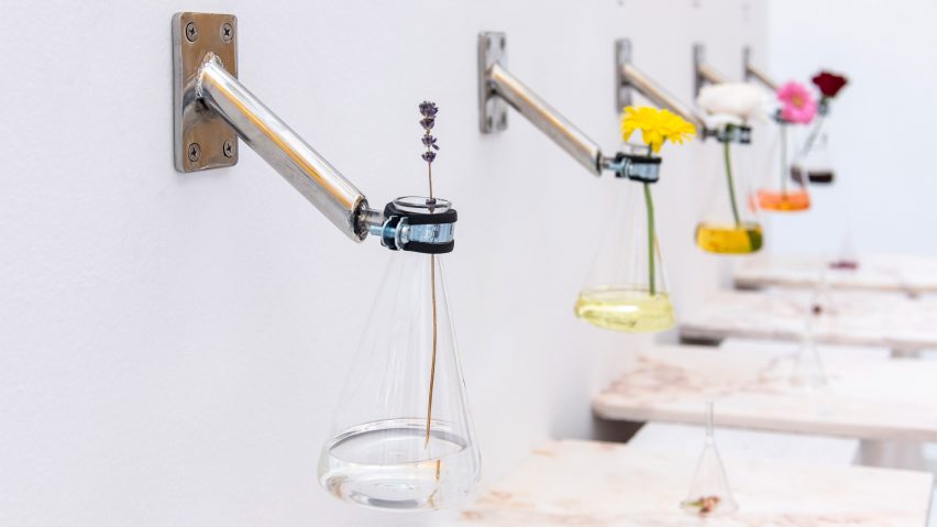 Glass jars with flowers mounted on a white wall with a silver bracket
