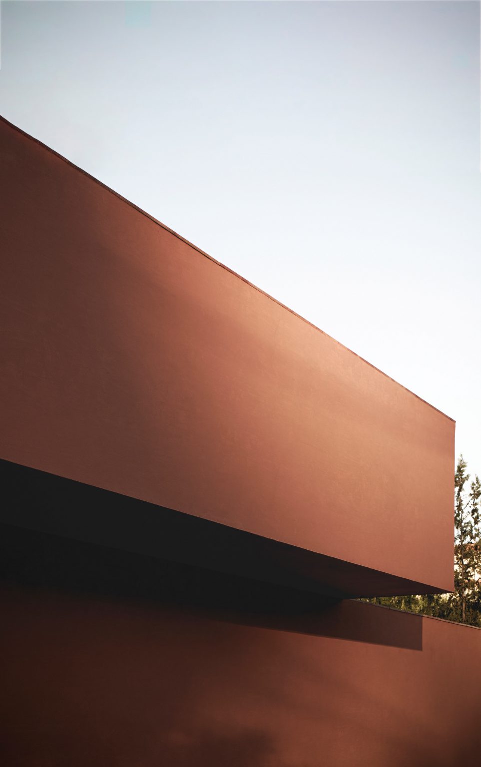 La Casa de los Olivos in Valencia by Balzar Arquitectos