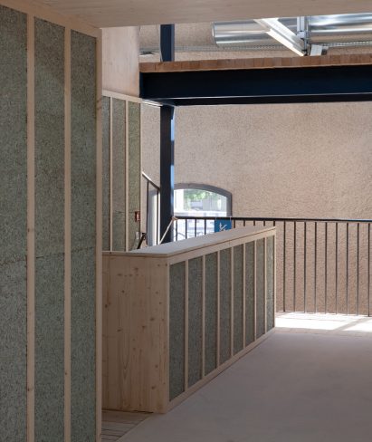 Wall panels made from sunflower fibres