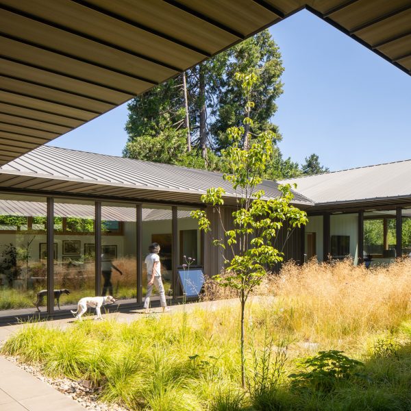 Meadow House