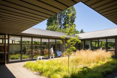 Native plants in the rainwater-fed garden