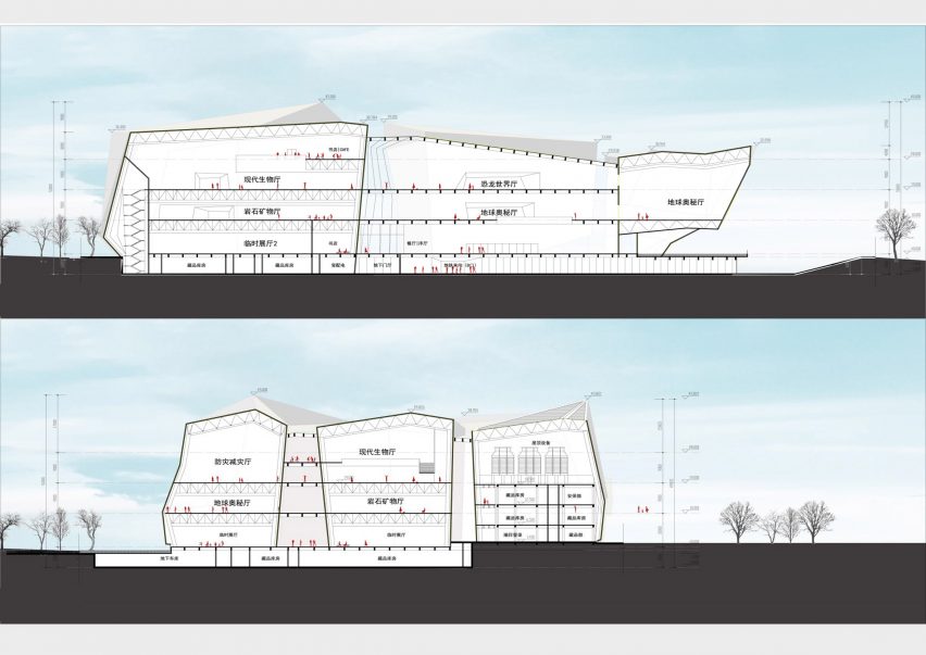 Section of Chengdu Natural History Museum