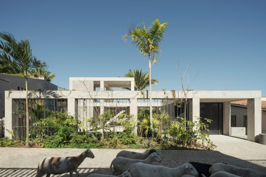 Nico Loma Alta by Hybrid and Palma