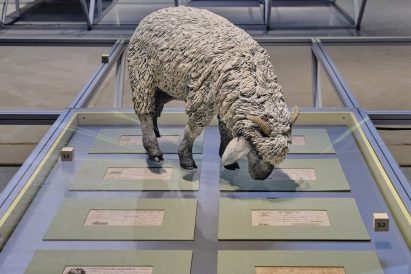 Sheep replica