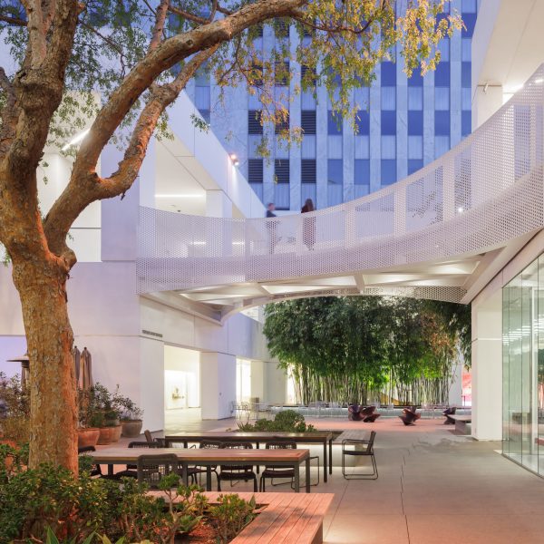 Courtyard at the Hammer Museum with a tree, outdoor seating and white buildings connected by a bridge