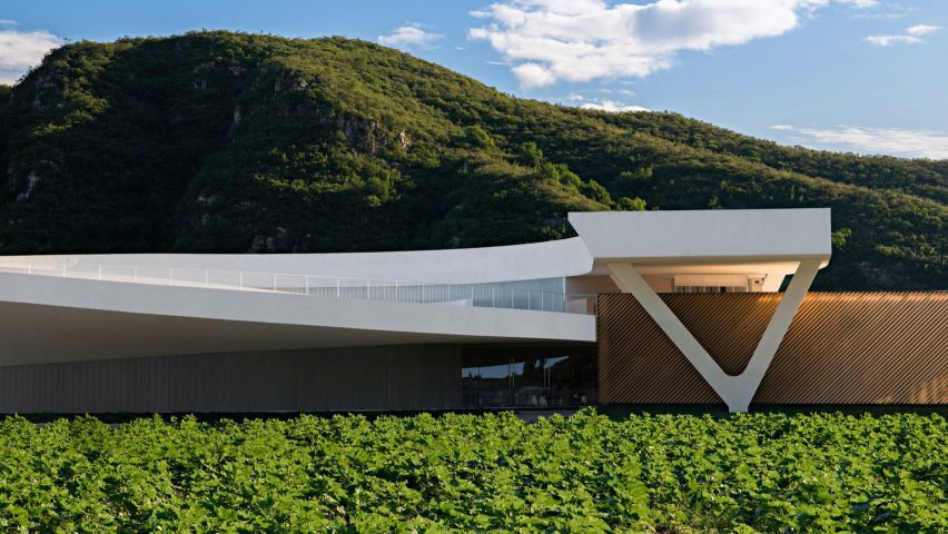 Syn architects arts centre