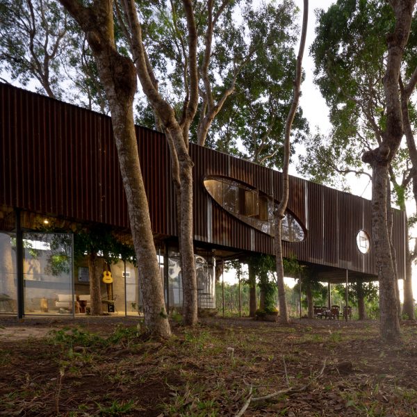 Photo of Tree House by the Lake