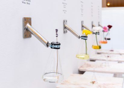 Glass jars with flowers mounted on a white wall with a silver bracket