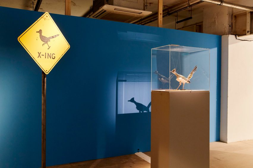 Roadrunner bird puppet at the Asteriod City exhibition