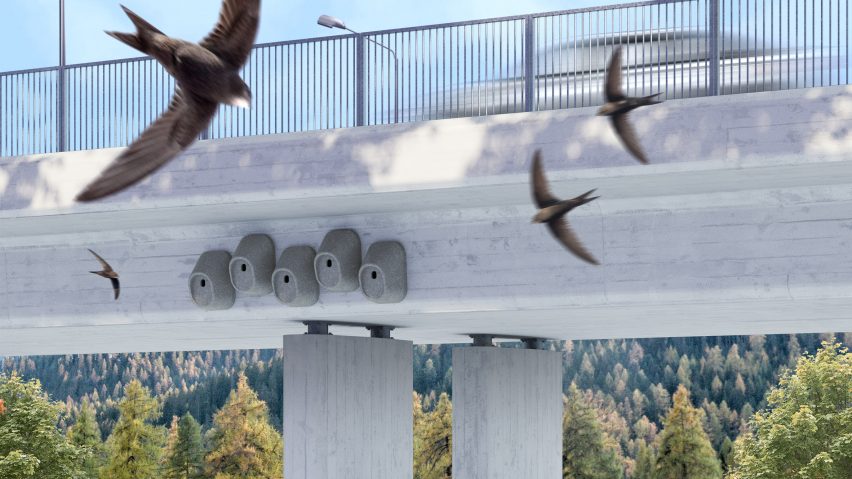 Birds flying around a bridge with nesting boxes beneath it