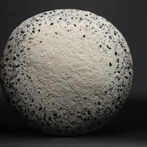 Phenomenal Fungi by Monash University Department of Design