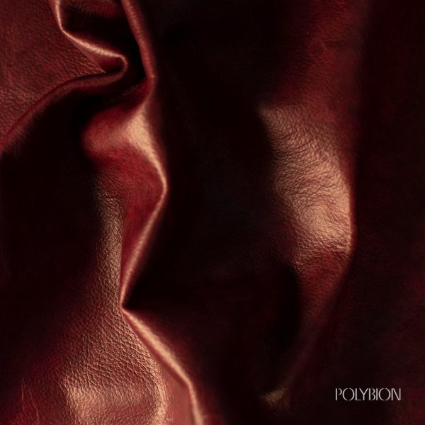 Celium® by Polybion