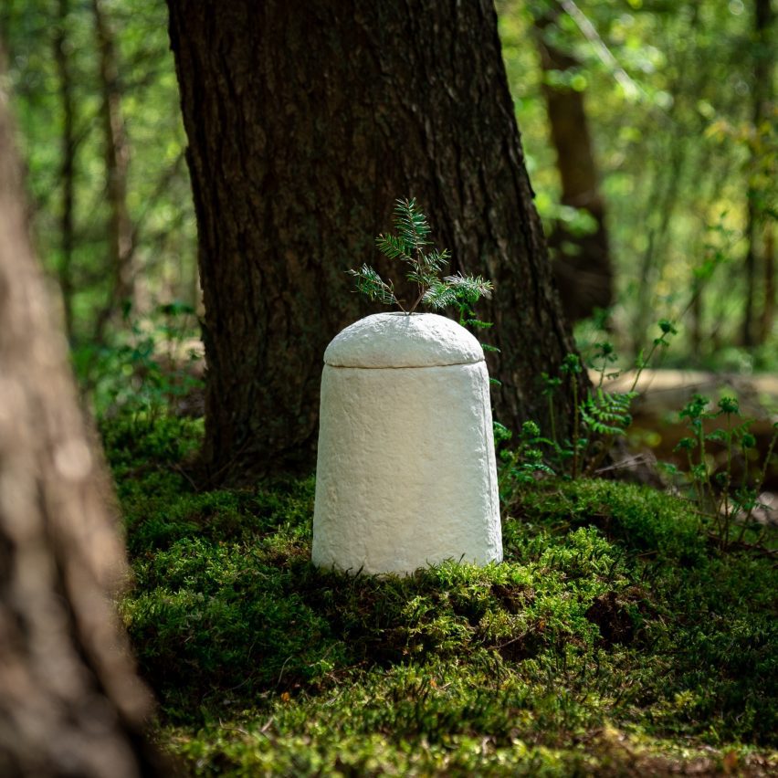 Living Urn by Loop Biotech