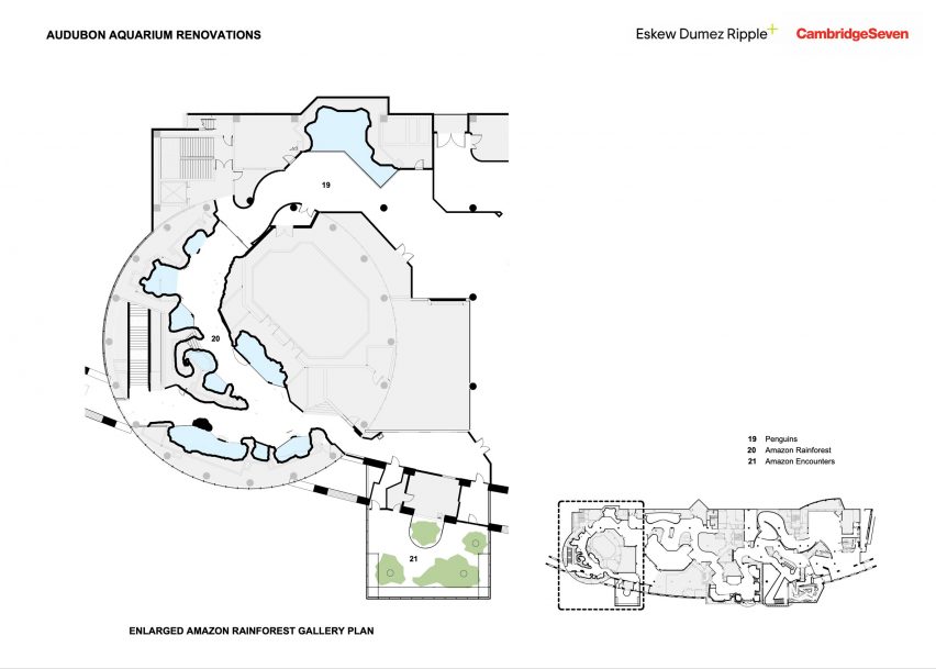 Amazon rainforest gallery floor plan