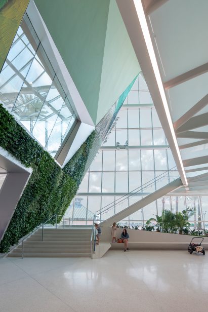 Interior shot of bird-friendly glass facade
