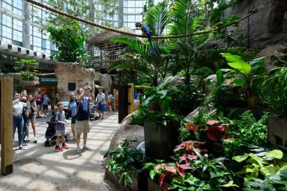 Free-flying birds within insectarium