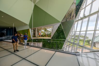 Living green walls within insectarium