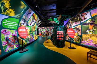 Winding insect exhibit within insectarium