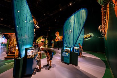 Large butterfly wings within insectarium for children