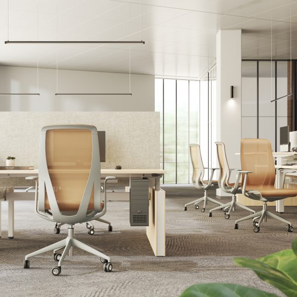 D-Chair by Baldanzi & Novelli for Narbutas
