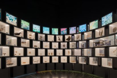 An exhibition in the National Biodiversity Pavilion in Mexico