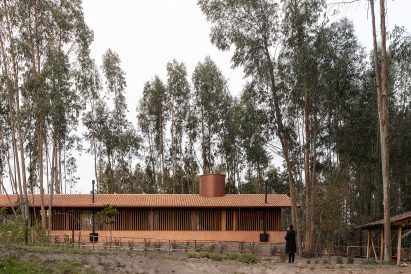 Copper-coloured chimney atop a riding school