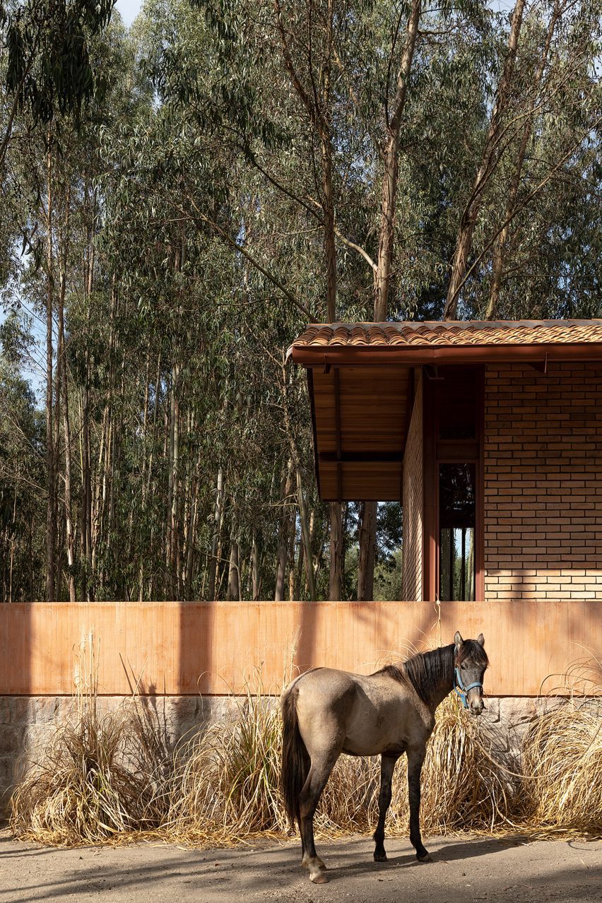 Riding school in Ecuador