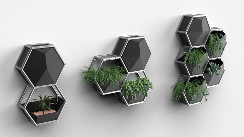 Hexagonal devices to help house plants grow in the city