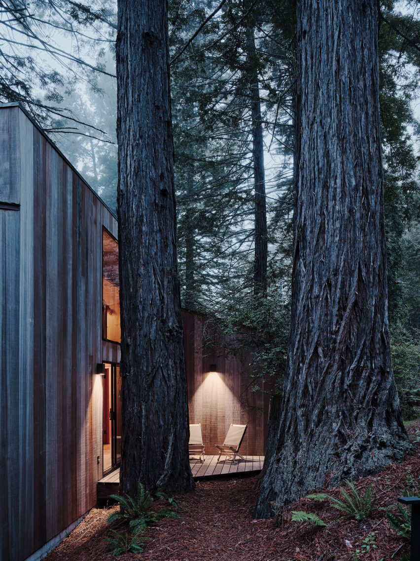 Cabin by Joanne Koch
