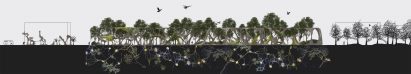 Illustrated section drawing of trees shading mycelium structure