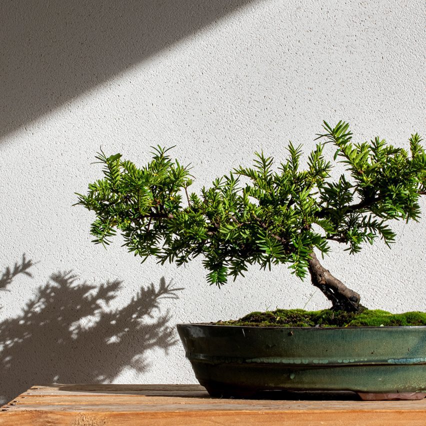 Armourcoat Clay Lime Plaster, Clime by Armourcoat
