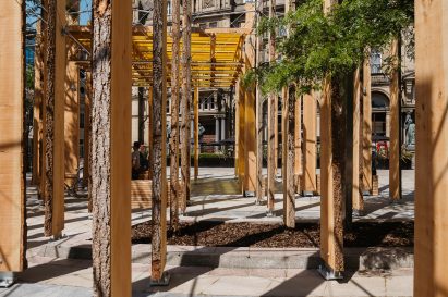 Contrast between rough and smooth texture of wood in Making A Stand installation